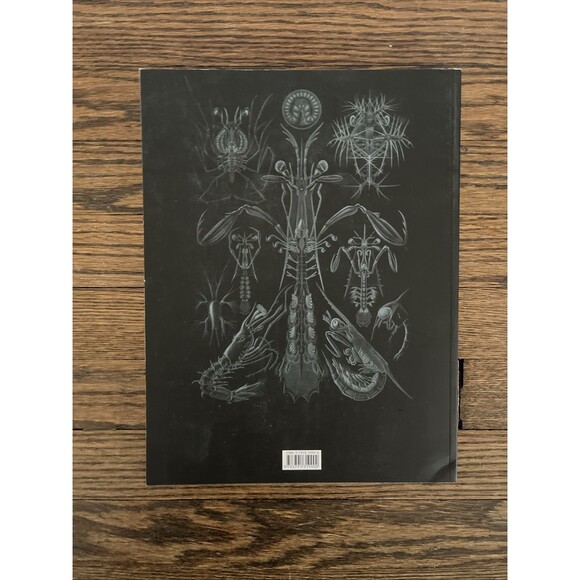 Olaf Breidbach Art Forms in Nature (Paperback) One Hundred Color Plates 2004 - Picture 4 of 4